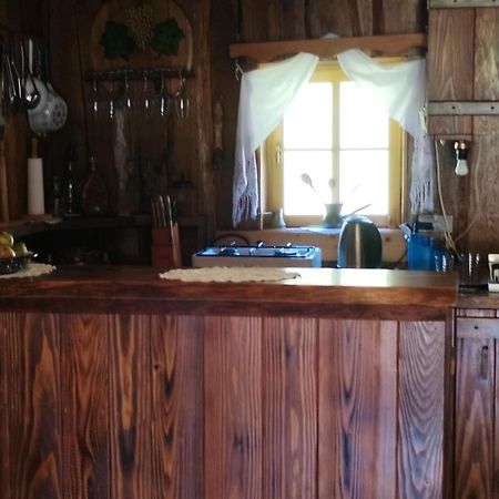 Vacation House Spiritus Flumine Netretic Dış mekan fotoğraf